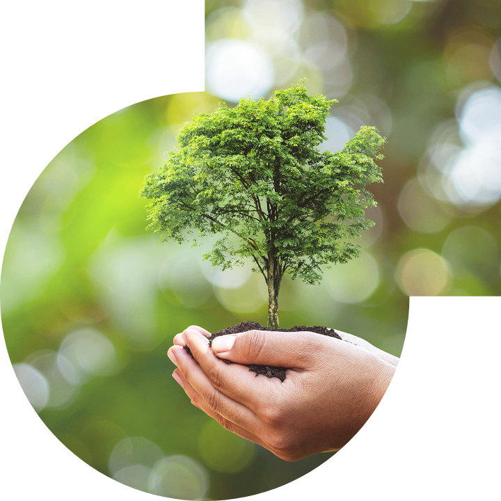 关怀人类、文化、环境与社会